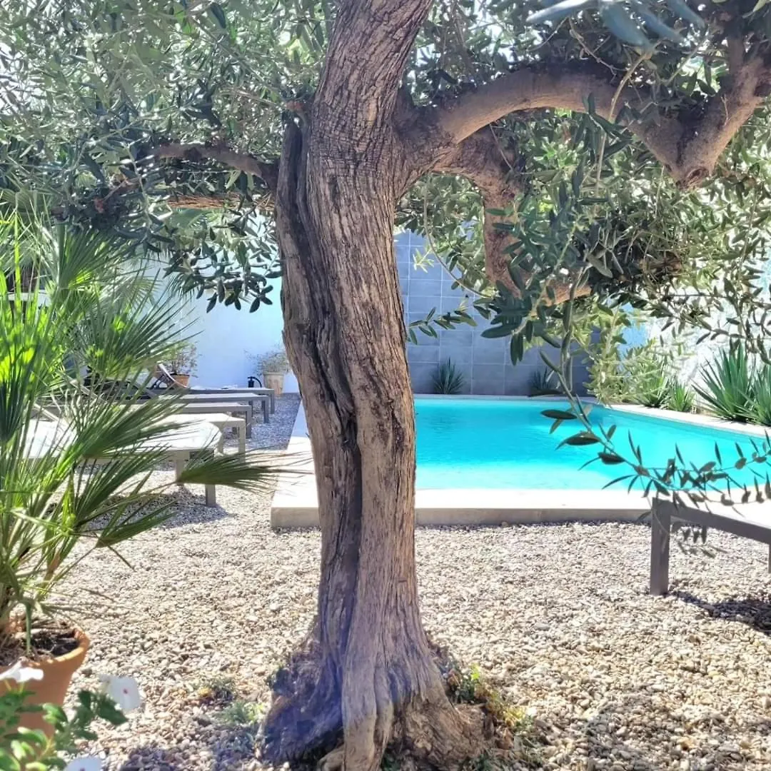 El Cielo Azul Bed & Breakfast Alora