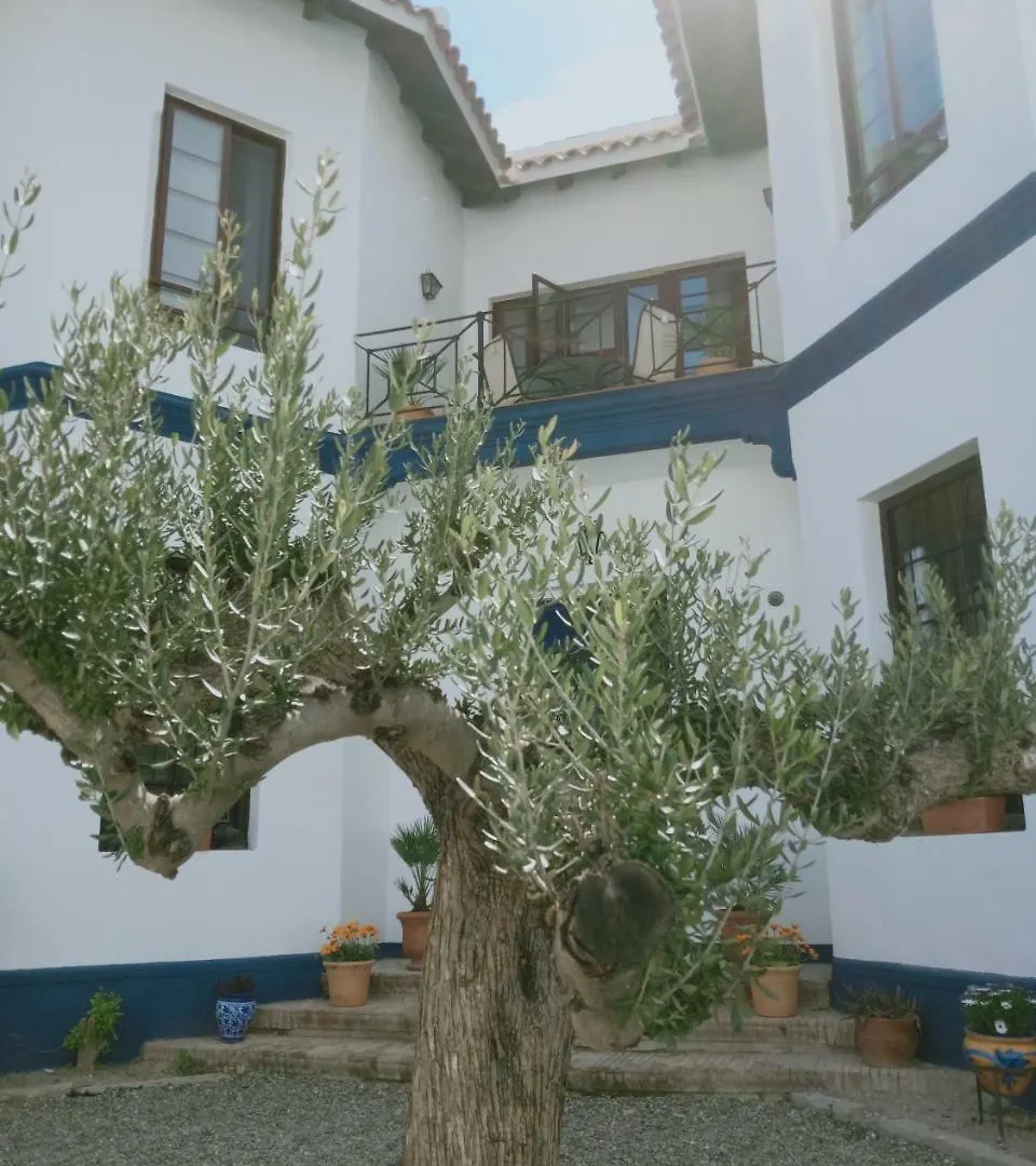El Cielo Azul Bed & Breakfast Alora