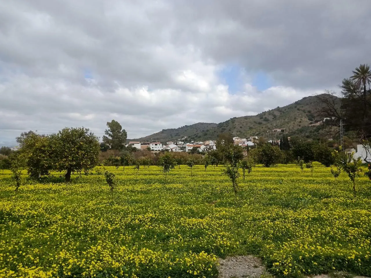 El Cielo Azul Bed & Breakfast Alora